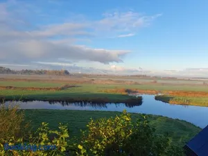 Image of Walvisch van Ghyspe