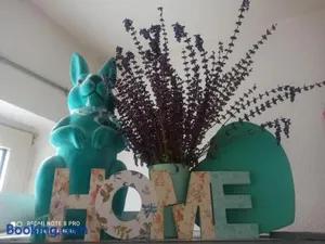 Image of Cosyhome Apartment