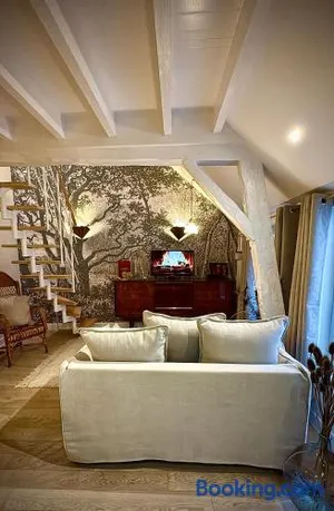 Image of Élégant appartement lumineux hypercentre Orléans