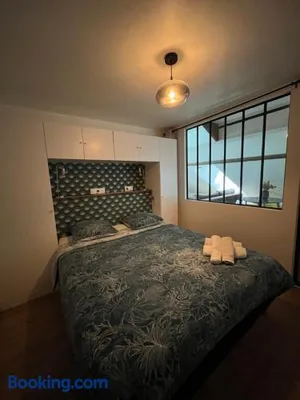 Image of Le Duplex Chartrain - Séjour au cœur de Blois