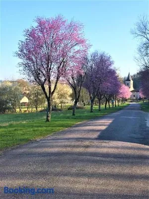Image of La MUSARDIERE Gîte paisible à la campagne