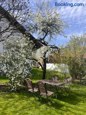 Image of Zimmer zum Wohlfühlen