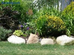 Image of A Peaceful Oasis on Munjoy Hill - 3BR Cottage & Parking