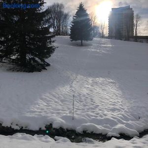 Image of Pano Hohegeiß App 363 mit Wlan