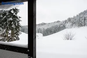 Image of Romantikhütte Neuastenberg