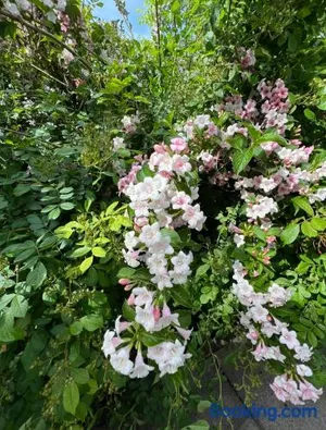 Image of Palmen Apartment direkt in Bad Aibling