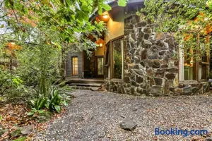 Image of Birch Suite - Rocky Creek Art Garden