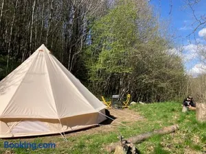 Image of Tente Tipi en pleine forêt