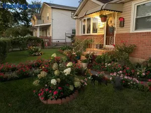 Image of Beautiful Room near JFK and close to LaGuardia Airports