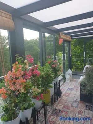 Image of Cozy room with a beautiful garden view