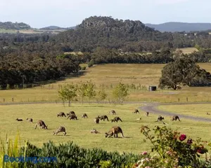 Image of Hanging Rock Views