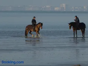 Image of Appartement Calme Proche Plage avec Terrasse Sud, Parking Sécurisé et Équipements Complets - FR-1-306-909
