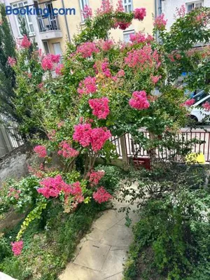 Image of F3 au grenier d'une maison