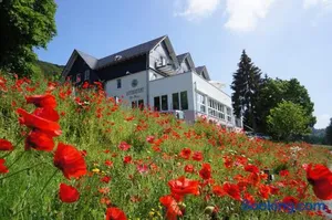Image of Waldhotel Schinkenwirt