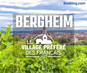 Image of Bergheim Piscine