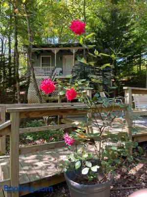 Image of Mountain Rose