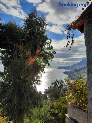 Image of Soutariba