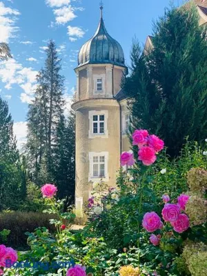 Image of Schloß Hürbel Rosengarten - Suite
