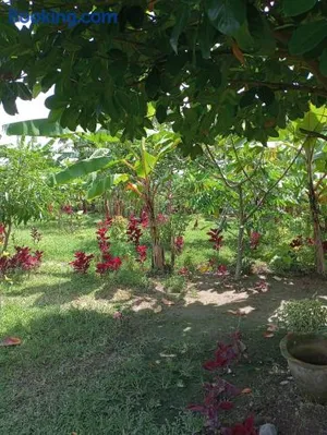 Image of The Daun Puntik HomeStay