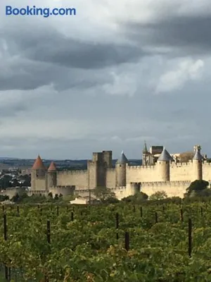 Image of Les Orchidées
