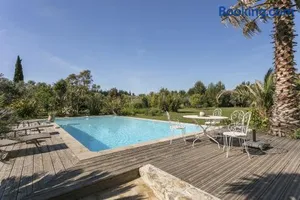 Image of Domaine Sesquier Mas d'exception Acacia