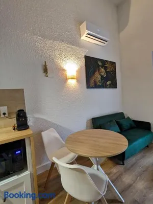 Image of Studio Duplex le Jungle - Bourgoin Centre