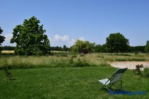 Image of L'Oiseau Blanc
