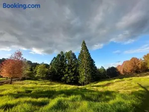 Image of Cottage in The Woods, Maleny