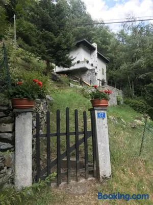 Image of Genzianella