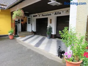 Image of Pension Alfa