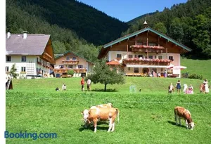 Image of Am Ferienbauernhof Schmiedbauer com Salzkammergut