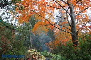 Image of Koko Guesthouse - Two bedroom Option