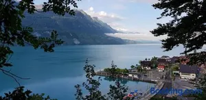 Image of Francy