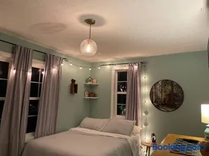 Image of Solar Roof, eco-friendly home
