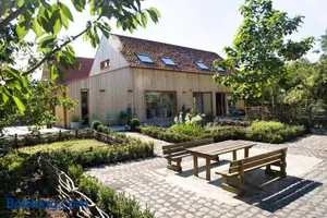Image of De kiezel