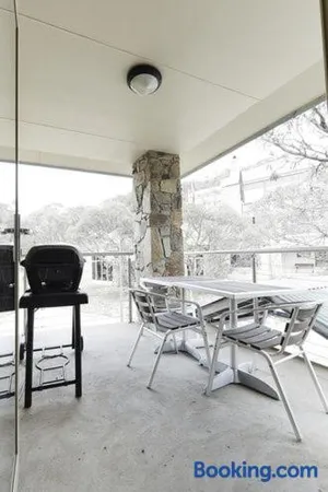 Image of Reindeer 9 AMS Mt Buller