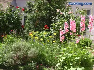 Image of Apartment Haydnpark