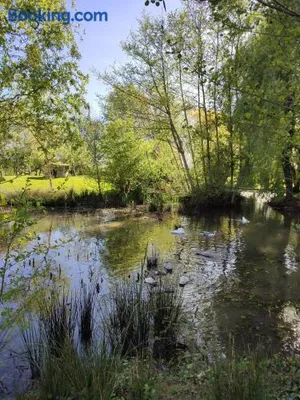 Image of De couleurs et d'eau fraîche
