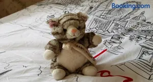 Image of La Maison des Chats