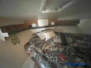 Image of Nuit insolite et cocon