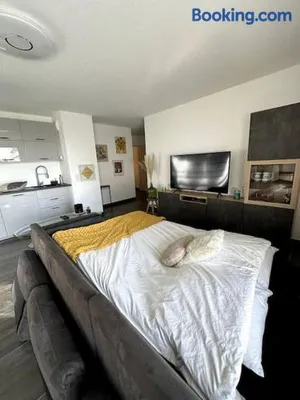 Image of Superbe appartement proche de Strasbourg