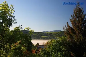 Image of Le Merle Enchanteur