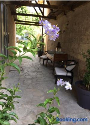 Image of Un jardin en ville