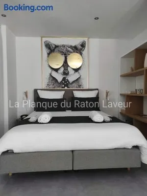 Image of La planque du raton laveur