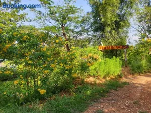 Image of Littleduck bungalow Koh Chang Ranong