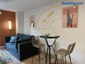 Image of Studio Le Cilaos, au cœur de Castres
