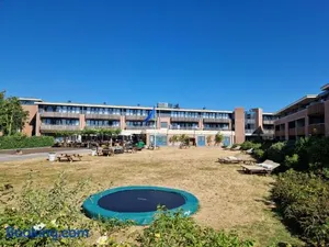 Image of Duinroos