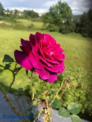 Image of Seeblick Oase