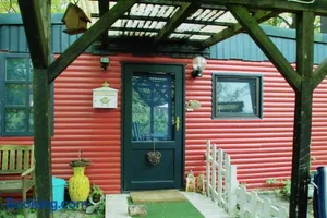 Image of Piraten-Nest