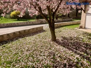 Image of Logement type 2 dans un parc verdoyant